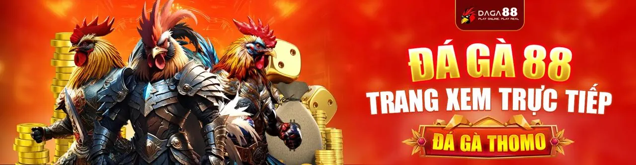 Đá Gà Trực Tuyến ibet888