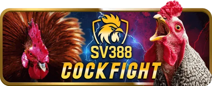 Ứng dụng cá cược di động ibet888